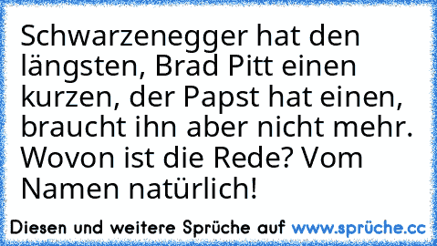 Schwarzenegger hat den längsten, Brad Pitt einen kurzen, der Papst hat einen, braucht ihn aber nicht mehr. Wovon ist die Rede? Vom Namen natürlich!