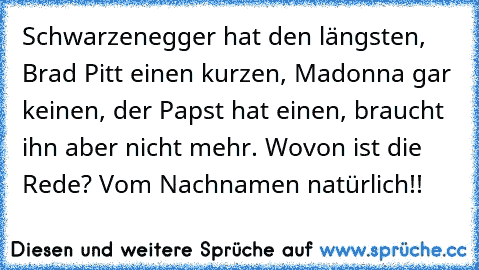 Schwarzenegger hat den längsten, Brad Pitt einen kurzen, Madonna gar keinen, der Papst hat einen, braucht ihn aber nicht mehr. Wovon ist die Rede? Vom Nachnamen natürlich!!