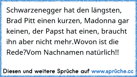 Schwarzenegger hat den längsten, Brad Pitt einen kurzen, Madonna gar keinen, der Papst hat einen, braucht ihn aber nicht mehr.
Wovon ist die Rede?
Vom Nachnamen natürlich!!