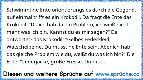 Schwimmt ne Ente orientierungslos durch die Gegend, auf einmal trifft es ein Krokodil. Da fragt die Ente das Krokodil: "Du ich hab da ein Problem, ich weiß nicht mehr was ich bin. Kannst du es mir sagen?" Da antwortet? das Krokodil: "Gelbes Federkleid, Watschelbeine. Du musst ne Ente sein. Aber ich hab das gleiche Problem wie du, weißt du was ich bin?" Die Ente: "Lederjacke, große Fresse. Du musst...