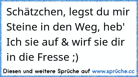 Schätzchen, legst du mir Steine in den Weg, heb' Ich sie auf & wirf sie dir in die Fresse ;)