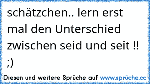 schätzchen.. lern erst mal den Unterschied zwischen seid und seit !! ;)