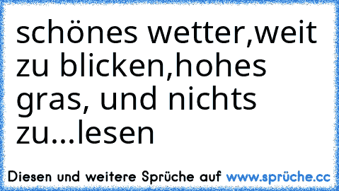 schönes wetter,weit zu blicken,
hohes gras, und nichts zu...lesen