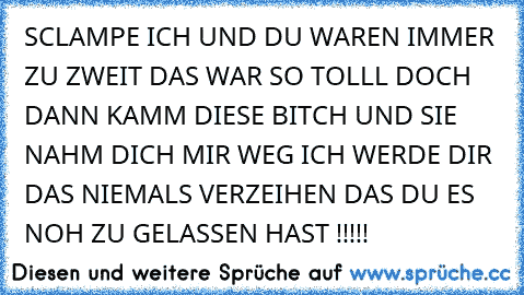 SCLAMPE ICH UND DU WAREN IMMER ZU ZWEIT DAS WAR SO TOLLL DOCH DANN KAMM DIESE BITCH UND SIE NAHM DICH MIR WEG 
ICH WERDE DIR DAS NIEMALS VERZEIHEN DAS DU ES NOH ZU GELASSEN HAST !!!!!