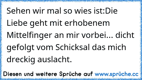 Sehen wir mal so wies ist:
Die Liebe geht mit erhobenem Mittelfinger an mir vorbei... dicht gefolgt vom Schicksal das mich dreckig auslacht.