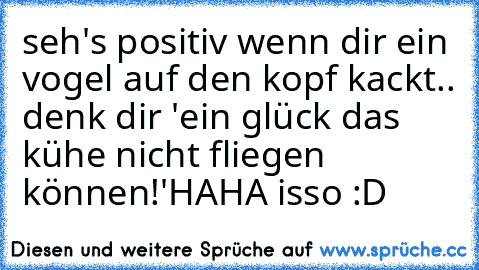 seh's positiv wenn dir ein vogel auf den kopf kackt.. denk dir 'ein glück das kühe nicht fliegen können!'
HAHA isso :D