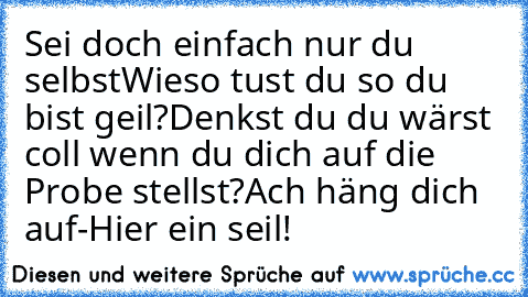 Sei doch einfach nur du selbst
Wieso tust du so du bist geil?
Denkst du du wärst coll wenn du dich auf die Probe stellst?
Ach häng dich auf-Hier ein seil!