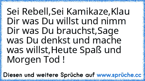 Sei Rebell,Sei Kamikaze,
Klau Dir was Du willst und nimm Dir was Du brauchst,
Sage was Du denkst und mache was willst,
Heute Spaß und Morgen Tod !