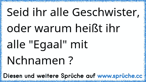 Seid ihr alle Geschwister, oder warum heißt ihr alle "Egaal" mit Nchnamen ?