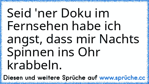 Seid 'ner Doku im Fernsehen habe ich angst, dass mir Nachts Spinnen ins Ohr krabbeln.