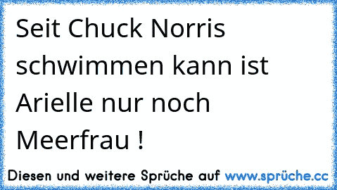 Seit Chuck Norris schwimmen kann ist Arielle nur noch Meerfrau !