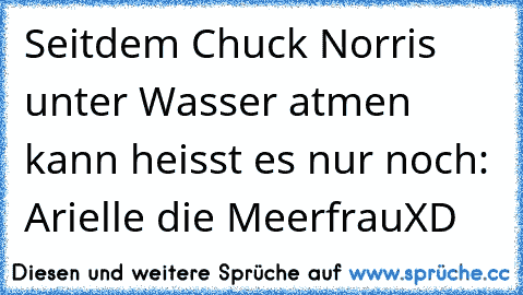 Seitdem Chuck Norris unter Wasser atmen kann heisst es nur noch: Arielle die MeerfrauXD