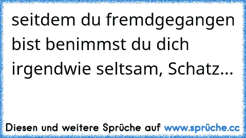 seitdem du fremdgegangen bist benimmst du dich irgendwie seltsam, Schatz...