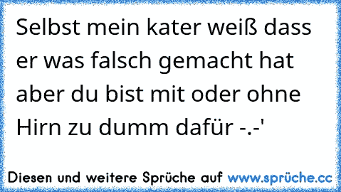 Selbst mein kater weiß dass er was falsch gemacht hat aber du bist mit oder ohne Hirn zu dumm dafür -.-'