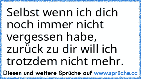 Selbst wenn ich dich noch immer nicht vergessen habe, zurück zu dir will ich trotzdem nicht mehr.