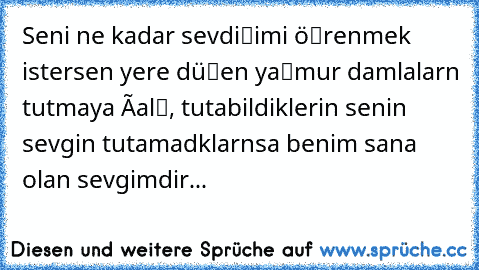 Seni ne kadar sevdiğimi öğrenmek istersen yere düşen yağmur damlalarını tutmaya çalış, tutabildiklerin senin sevgin tutamadıklarınsa benim sana olan sevgimdir...