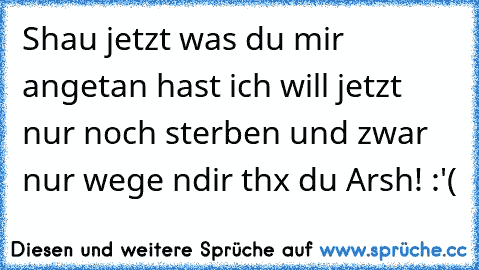 Shau jetzt was du mir angetan hast ich will jetzt nur noch sterben und zwar nur wege ndir thx du Arsh! :'(