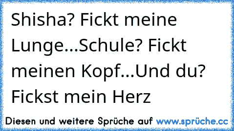 Shisha? Fickt meine Lunge...Schule? Fickt meinen Kopf...Und du? Fickst mein Herz