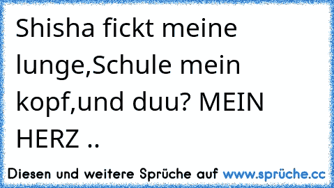 Shisha fickt meine lunge,
Schule mein kopf,
und duu? MEIN HERZ ..