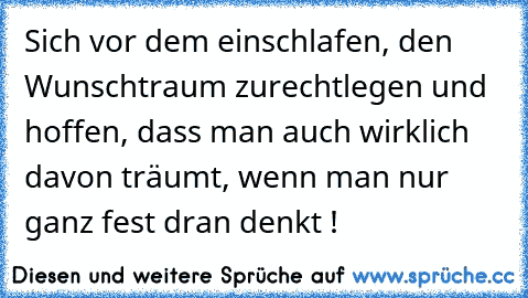 Sich vor dem einschlafen, den Wunschtraum zurechtlegen und hoffen, dass man auch wirklich davon träumt, wenn man nur ganz fest dran denkt ! ♥