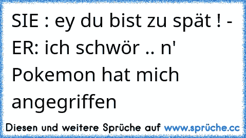 SIE : ey du bist zu spät ! - ER: ich schwör .. n' Pokemon hat mich angegriffen