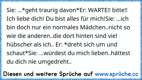 Sie: ...*geht traurig davon*
Er: WARTE!! bitte!! Ich liebe dich! Du bist alles für mich!
Sie: ...ich bin doch nur ein normales Mädchen..nicht so wie die anderen..die dort hinten sind viel hübscher als ich.. Er: *dreht sich um und schaut*
Sie: ...würdest du mich lieben..hättest du dich nie umgedreht..