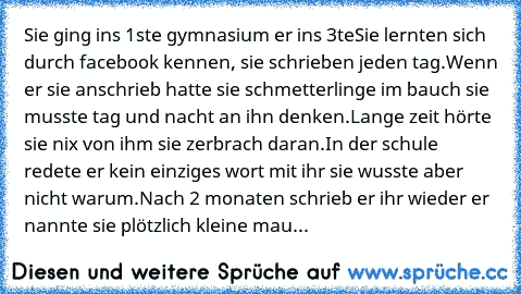 Sie ging ins 1ste gymnasium er ins 3te
Sie lernten sich durch facebook kennen, sie schrieben jeden tag.Wenn er sie anschrieb hatte sie schmetterlinge im bauch sie musste tag und nacht an ihn denken.Lange zeit hörte sie nix von ihm sie zerbrach daran.In der schule redete er kein einziges wort mit ihr sie wusste aber nicht warum.Nach 2 monaten schrieb er ihr wieder er nannte sie plötzlich kleine ...