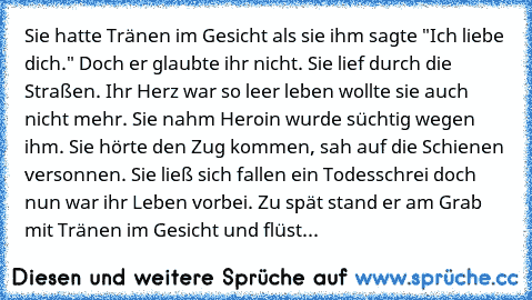 Sie hatte Tränen im Gesicht als sie ihm sagte "Ich liebe dich." Doch er glaubte ihr nicht. Sie lief durch die Straßen. Ihr Herz war so leer leben wollte sie auch nicht mehr. Sie nahm Heroin wurde süchtig wegen ihm. Sie hörte den Zug kommen, sah auf die Schienen versonnen. Sie ließ sich fallen ein Todesschrei doch nun war ihr Leben vorbei. Zu spät stand er am Grab mit Tränen im Gesicht und flüst...