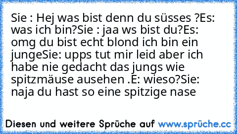 Sie : Hej was bist denn du süsses ?
Es: was ich bin?
Sie : jaa ws bist du?
Es: omg du bist echt blond ich bin ein junge
Sie: upps tut mir leid aber ich habe nie gedacht das jungs wie spitzmäuse ausehen .
E: wieso?
Sie: naja du hast so eine spitzige nase