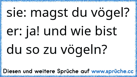 sie: magst du vögel? er: ja! und wie bist du so zu vögeln?