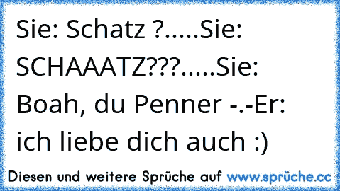 Sie: Schatz ?
.....
Sie: SCHAAATZ???
.....
Sie: Boah, du Penner -.-
Er: ich liebe dich auch :)♥