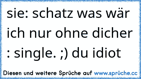 sie: schatz was wär ich nur ohne dich
er : single. ;) du idiot