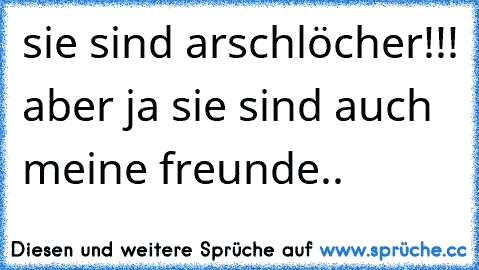 sie sind arschlöcher!!! aber ja sie sind auch meine freunde..