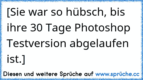 [Sie war so hübsch, bis ihre 30 Tage Photoshop Testversion abgelaufen ist.]