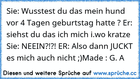 Sie Wusstest Du Das Mein Hund Vor 4 Tagen Geburtstag Hatte