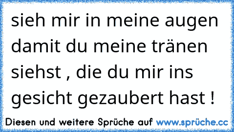 sieh mir in meine augen damit du meine tränen siehst , die du mir ins gesicht gezaubert hast ! 