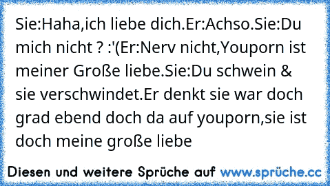 Sie:Haha,ich liebe dich.
Er:Achso.
Sie:Du mich nicht ? :'(
Er:Nerv nicht,Youporn ist meiner Große liebe.
Sie:Du schwein & sie verschwindet.
Er denkt sie war doch grad ebend doch da auf youporn,sie ist doch meine große liebe ♥