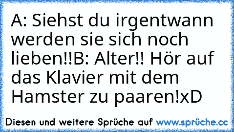 A: Siehst du irgentwann werden sie sich noch lieben!!
B: Alter!! Hör auf das Klavier mit dem Hamster zu paaren!
xD