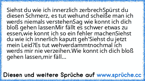 Siehst du wie ich innerzlich zerbrech
Spürst du diesen Schmerz, es tut weh
und scheiße man ich werds niemals verstehen
Sag wie konnt ich dich bloß gehen lassen
Mir fällt es schwer etwas zu essen,
wie konnt ich so ein fehler machen
Siehst du wie ich innerlich kaputt geh'
Siehst du jetzt mein Leid?
Es tut weh
verdammtnochmal ich werds mir nie verzeihen.
Wie konnt ich dich bloß gehen lassen,
mir f...