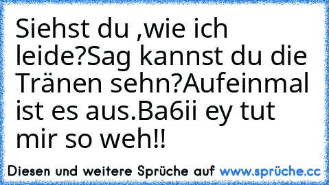 Siehst du ,wie ich leide?
Sag kannst du die Tränen seh´n?
Aufeinmal ist es aus.
Ba6ii ey tut mir so weh!!