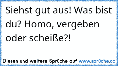 Siehst gut aus! Was bist du? Homo, vergeben oder scheiße?!