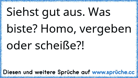 Siehst gut aus. Was biste? Homo, vergeben oder scheiße?!