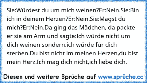 Sie:Würdest du um mich weinen?
Er:Nein.
Sie:Bin ich in deinem Herzen?
Er:Nein.
Sie:Magst du mich?
Er:Nein.
Da ging das Mädchen, da packte er sie am Arm und sagte:
Ich würde nicht um dich weinen sondern,
ich würde für dich sterben.
Du bist nicht im meinen Herzen,
du bist mein Herz.
Ich mag dich nicht,
ich liebe dich.