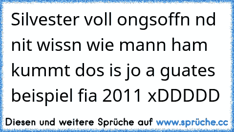 Silvester voll ongsoffn nd nit wissn wie mann ham kummt dos is jo a guates beispiel fia 2011 xDDDDD