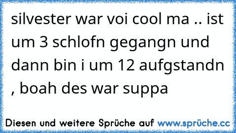 silvester war voi cool ma .. ist um 3 schlofn gegangn und dann bin i um 12 aufgstandn , boah des war suppa