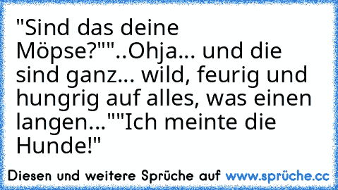 "Sind das deine Möpse?"
"..Ohja... und die sind ganz... wild, feurig und hungrig auf alles, was einen langen..."
"Ich meinte die Hunde!"