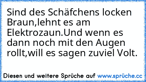 Sind des Schäfchens locken Braun,
lehnt es am Elektrozaun.
Und wenn es dann noch mit den Augen rollt,
will es sagen zuviel Volt.