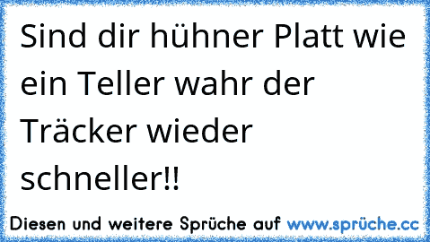 Sind dir hühner Platt wie ein Teller wahr der Träcker wieder schneller!!