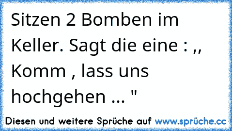 Sitzen 2 Bomben im Keller. Sagt die eine : ,, Komm , lass uns hochgehen ... "