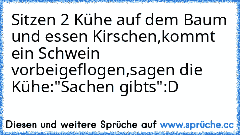 Sitzen 2 Kühe auf dem Baum und essen Kirschen,kommt ein Schwein vorbeigeflogen,sagen die Kühe:"Sachen gibts":D